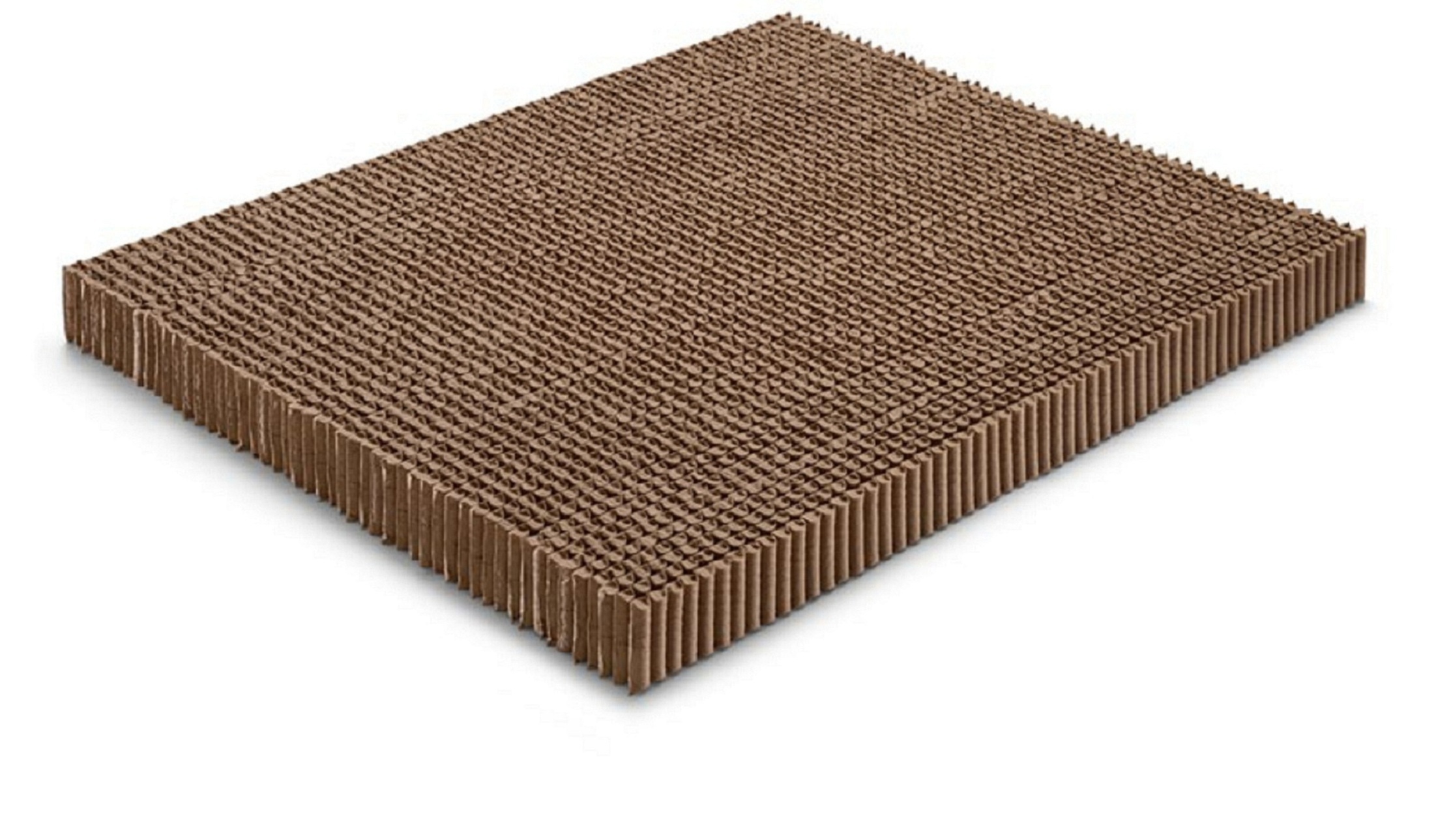 bobina de mola de bolso duplo