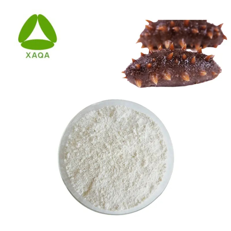 Meeresgurkenextrakt Sea cucumber Extract