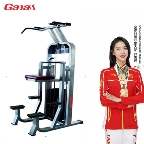 Commerciële Gym Fitness Machine Dip Chin Assist