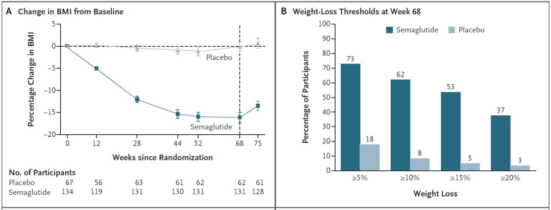 Semaglutide Weight Loss