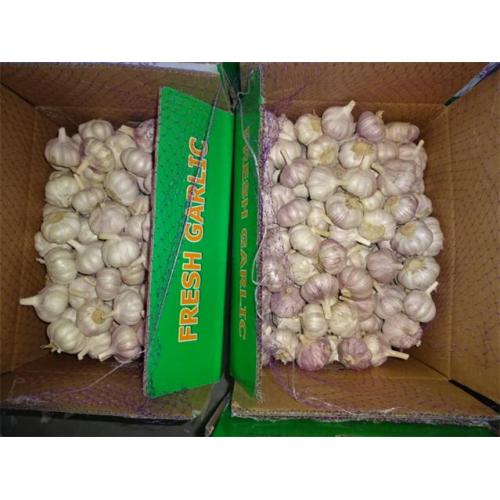 Health Benefits Of Fresh Garlic 2019