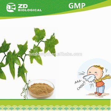 English Ivy Extract for cough suppressant