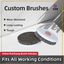 Professional Grade Disc Brush for Paint Removal