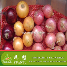 2015 China Produced Onion