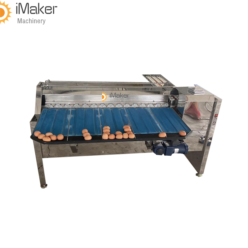 poultry farm use chicken egg grading sorting machines automatic