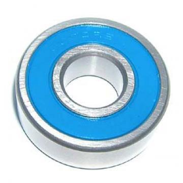 Electric Motor Bearings