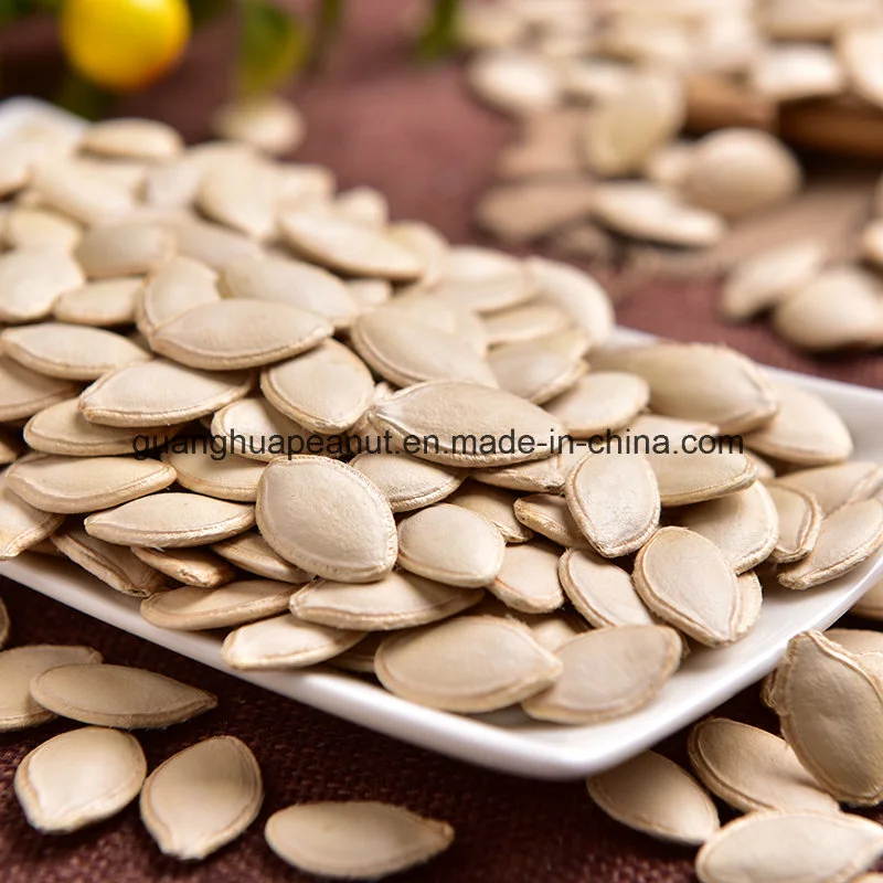 New Harvested Big Size Snow White Pumpkin Seeds