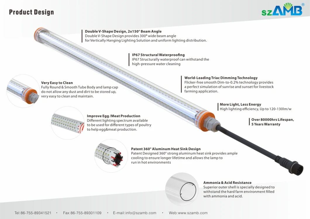 More Ray and Less Energy Poultry Farm Lighting for Broiler
