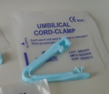 Cheap Disposable Umbilical Cord Clamp Two Pins