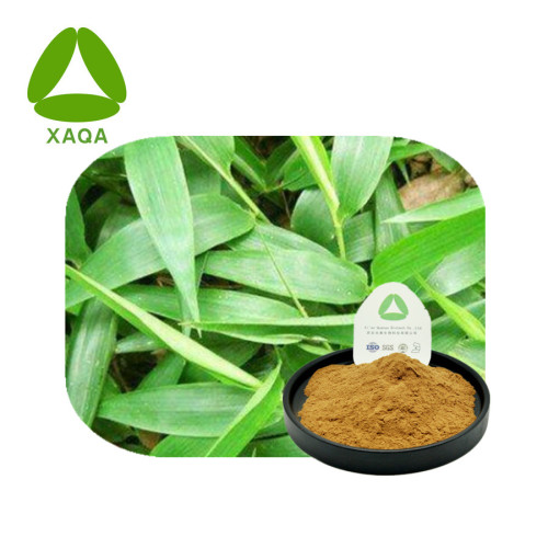 Antiphlogose Bambu Folhas Extrato de flavonas 40% em pó