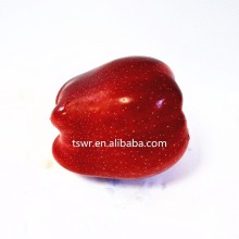 new crop huaniu apple red apple