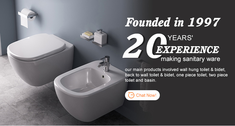Ceramic Rectangular Wall Mounted Bathroom Sinks