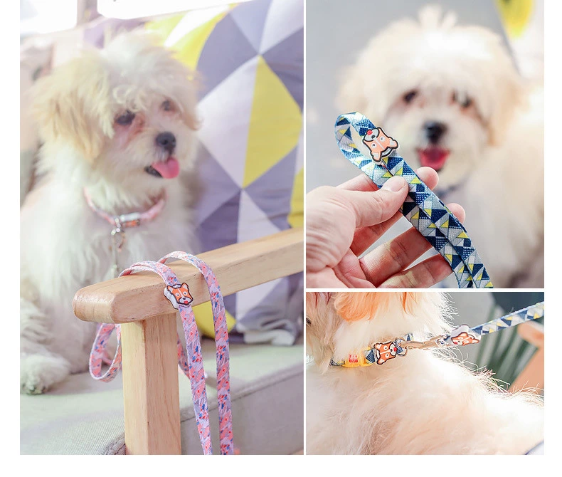 Fashion Nylon Pet Products Dog Collar Leash