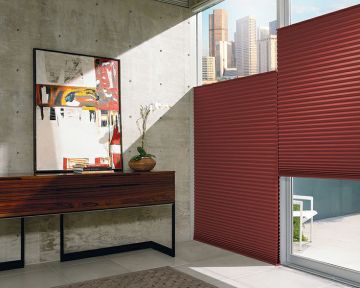 Cordless cellular window blinds