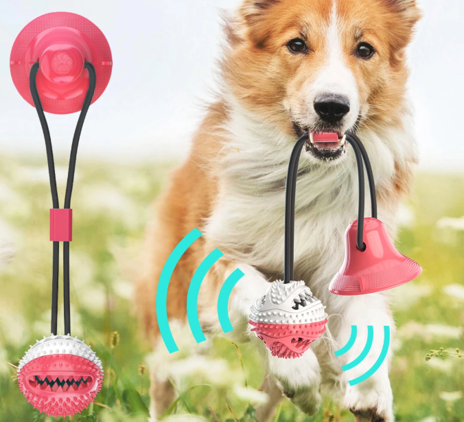 Dog Training Toy