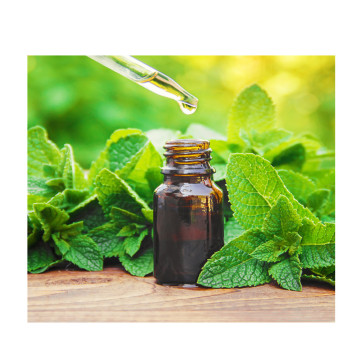 China 100% Natural Pure  Oils Peppermint Oil