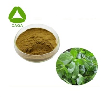 Portulaca Oleracea Extract Powder 10:1