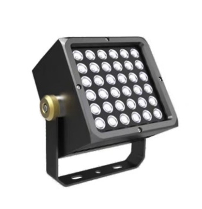 Custom outdoor flood light for lawn