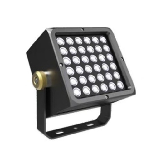 Custom outdoor flood light for lawn