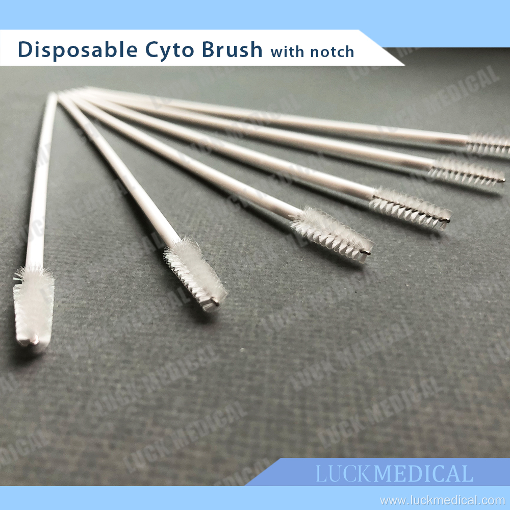 Disposable Cervical Brush Cyto Brush