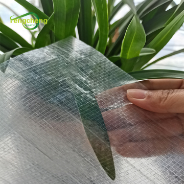 PE fruit orchard Chile cherry covers