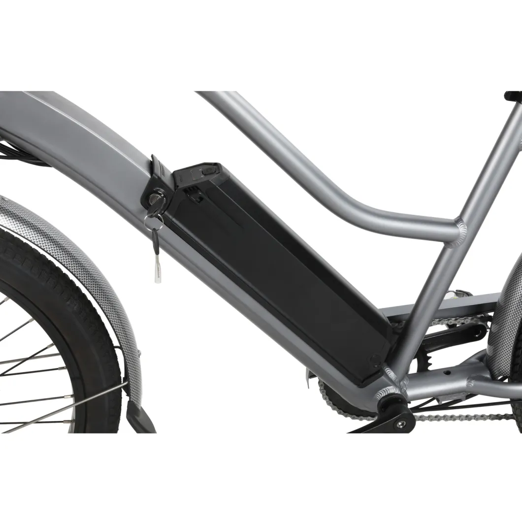 Cheap Price Old Electric Bike Samsung Lithium Battery Ebike