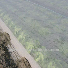 Nonwoven Crop Cover For Agriculture PP SPUNBOND fleece