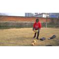 EASTONY Jumbo Outdoor Lawn Game Dados de madeira grandes