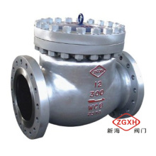 Titanium Check Valve