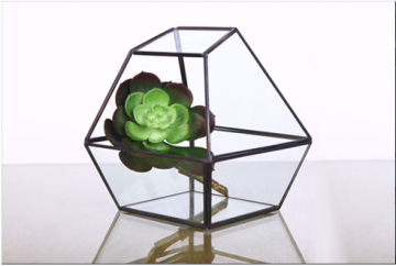 Shape Super Large Glass Terrarium Geometric