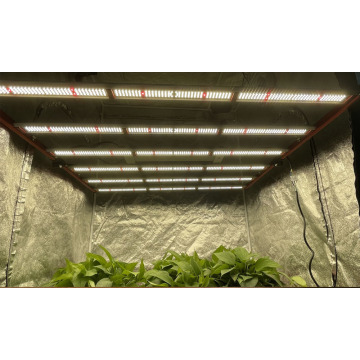 AGLEX 650W led grow light yang dapat diredupkan untuk canna