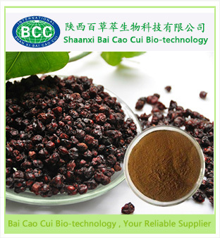 Schisandrae Chinensis Extract