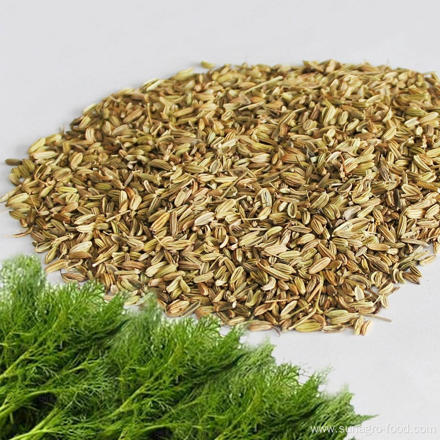 Natural Seed Anise Seed