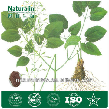 Epimedium Leaf Extract