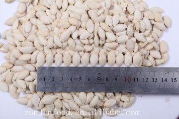 shine skin pumpkin seeds in shell