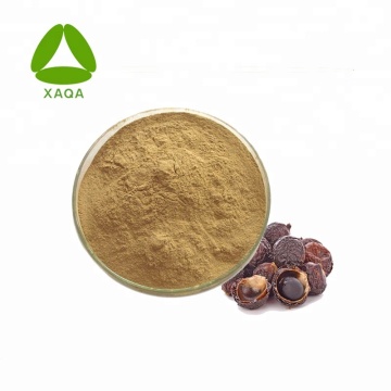 Extracto de Soapberry 40% Soapnut Saponin Powder