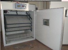 incubator for hatching eggs