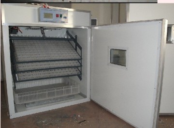 incubator for hatching eggs