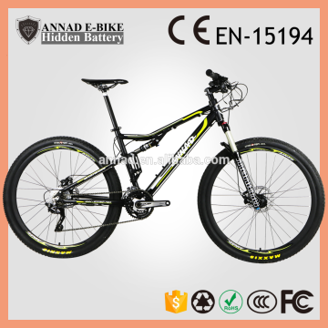 250W electric bike