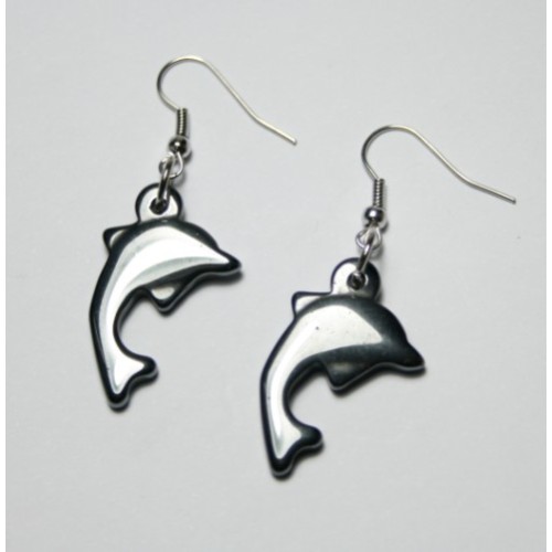 Hematite Earring with silver color finding