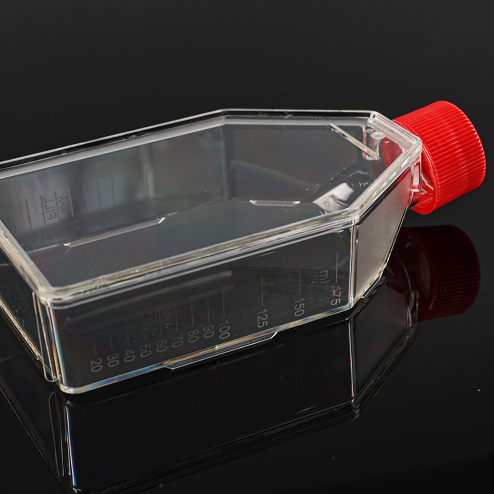 TC treated Cell Culture Flask