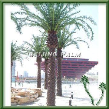 Artificial canary Palm Tree, date palm tree, Outdoor use