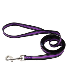 Adjustable Strong Nylon Webbing Dog Training Leash with Animal Pattern