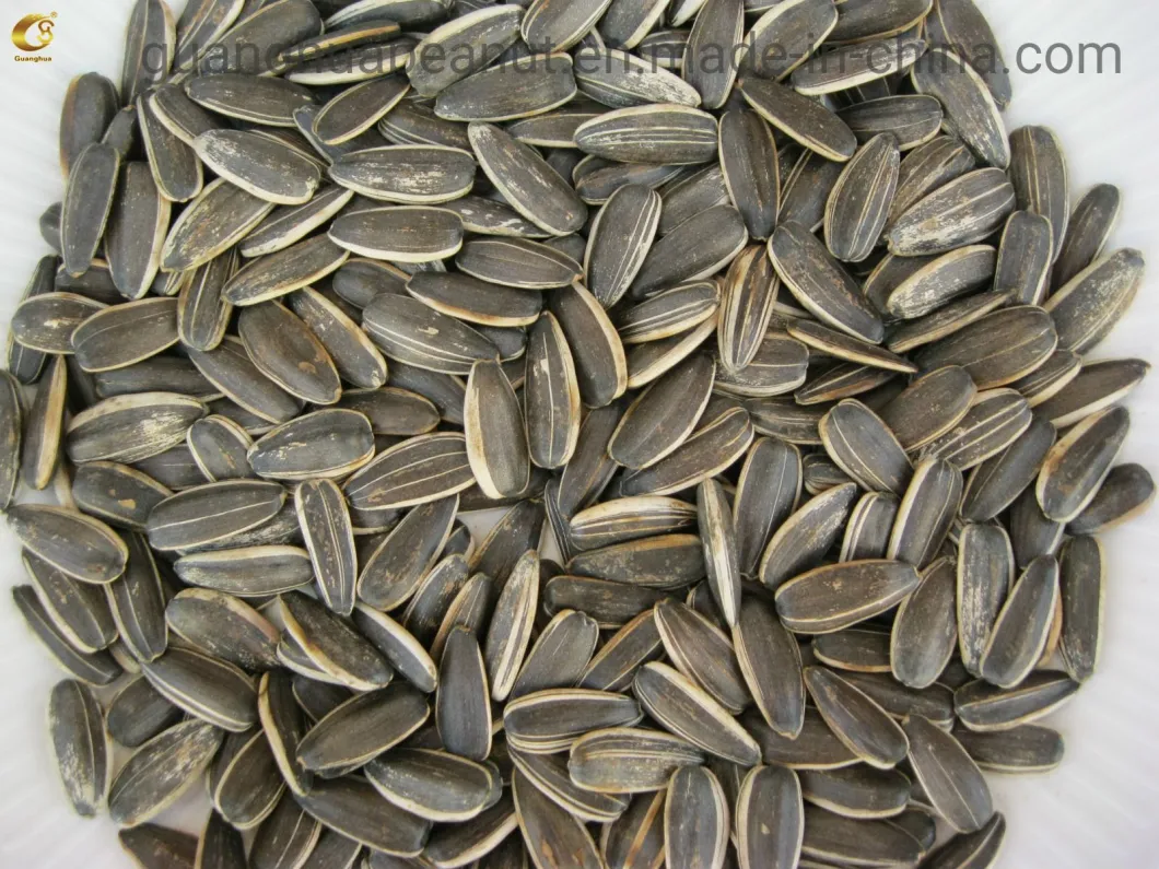 Hot Sale Flavored Roasted and Spiced Sunflower Seeds