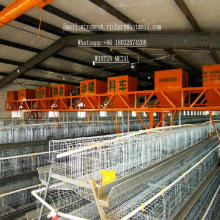 Chicken Cage Henhouse Poultry Equipment Chicken Cage Henhouse Poultry Equipment