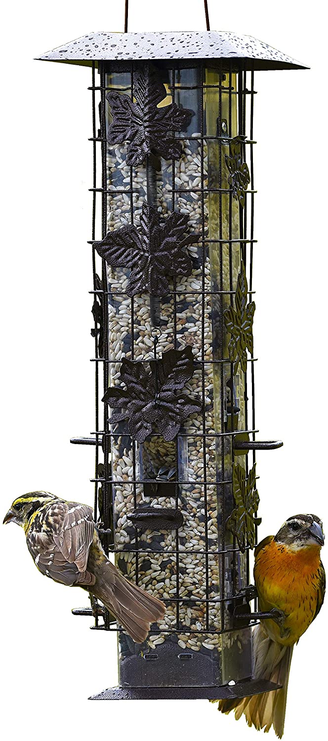 Hanging Bird Feeder Squirrel Proof