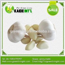 American Best Selling Cheap Garlic