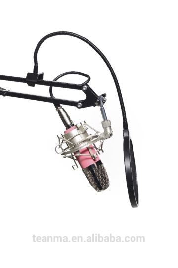 Anchor Studio Microphone