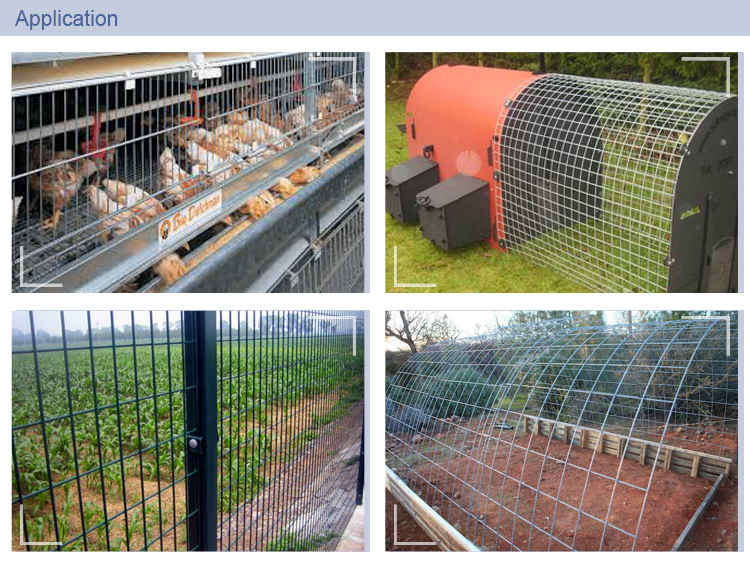 6 gauge pvc coated 2x4 welded wire mesh size