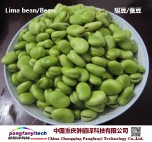 Natural Nutritional Tasty Self-planted Dried Lima Bean